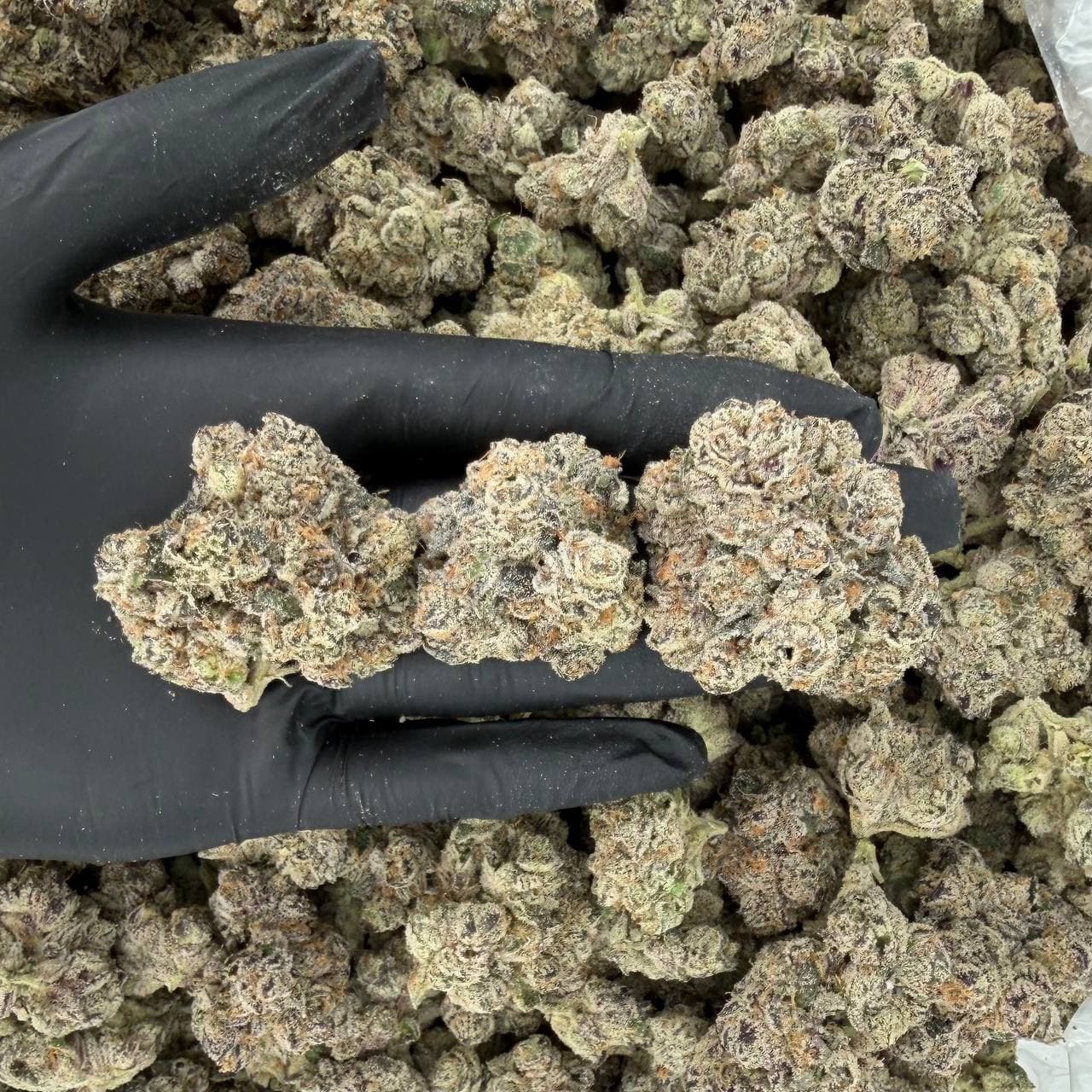 Cherry Punch